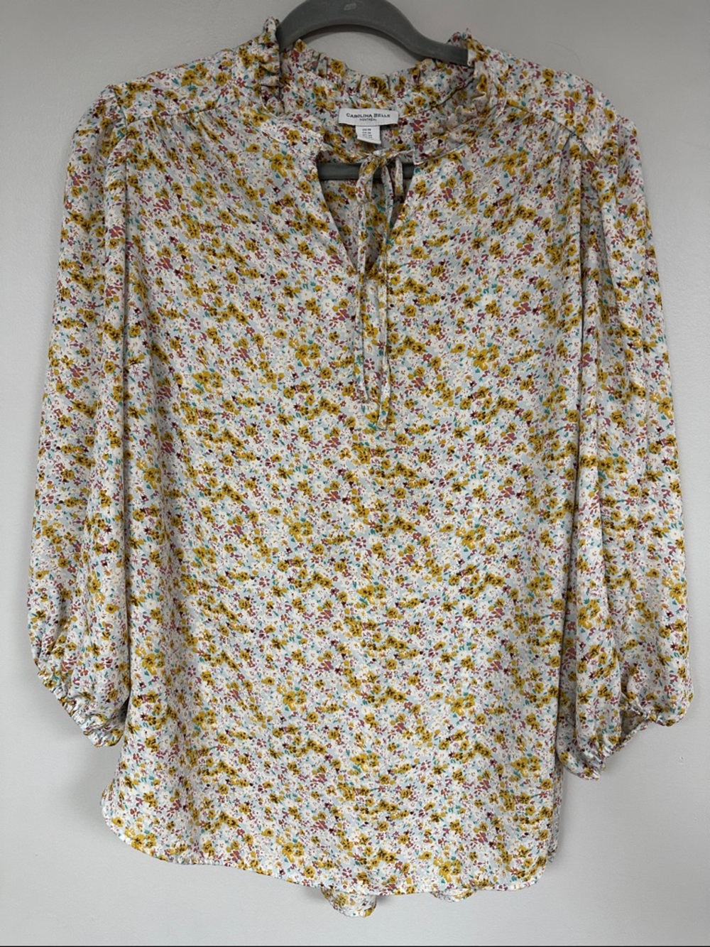 Carolina Belle Floral Long Sleeve Pull Over Blouse 1X